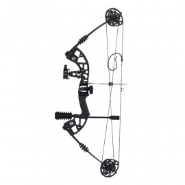 Блочный лук CRYSIS