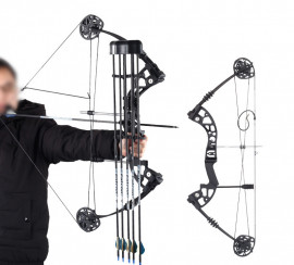 Блочный лук CRYSIS