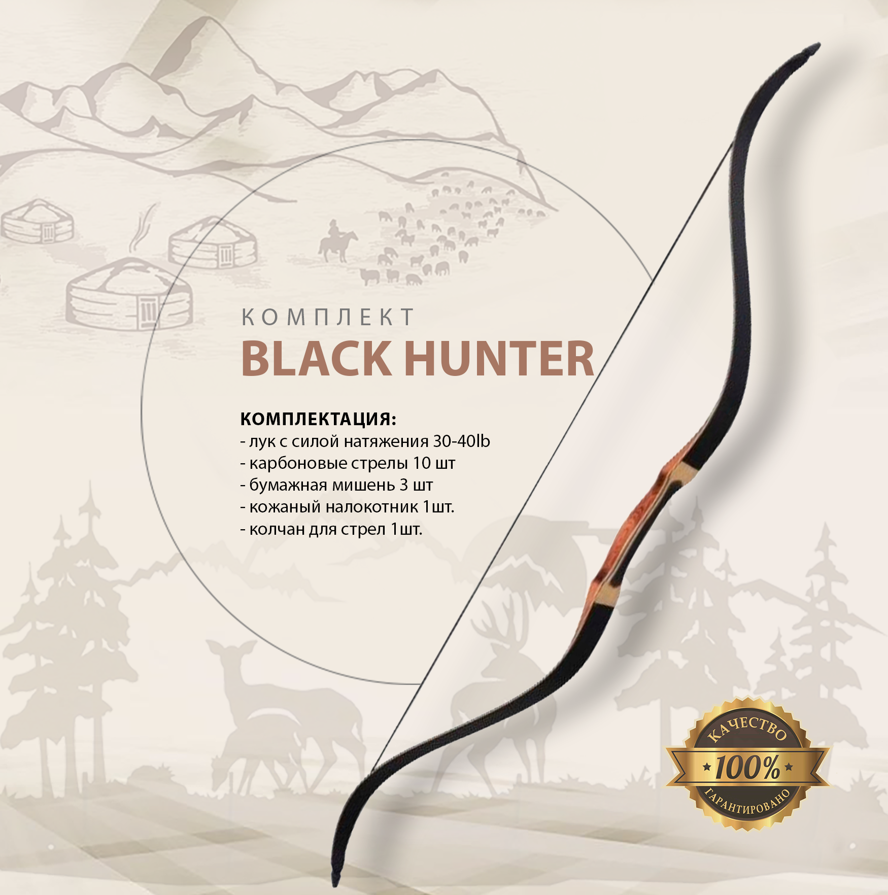 Спортивный лук Black Hunter